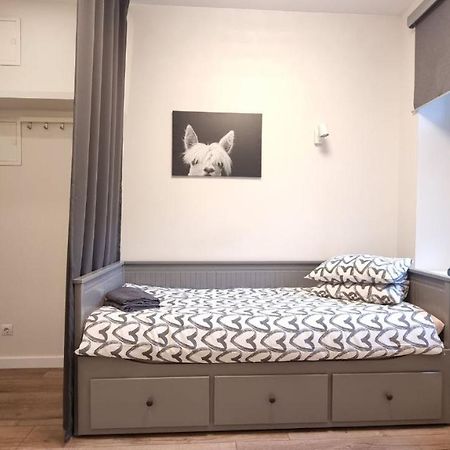 Marijas City Center Apartment リガ エクステリア 写真