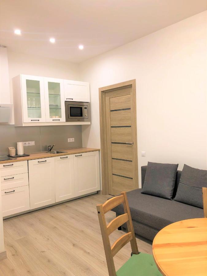 Marijas City Center Apartment リガ エクステリア 写真