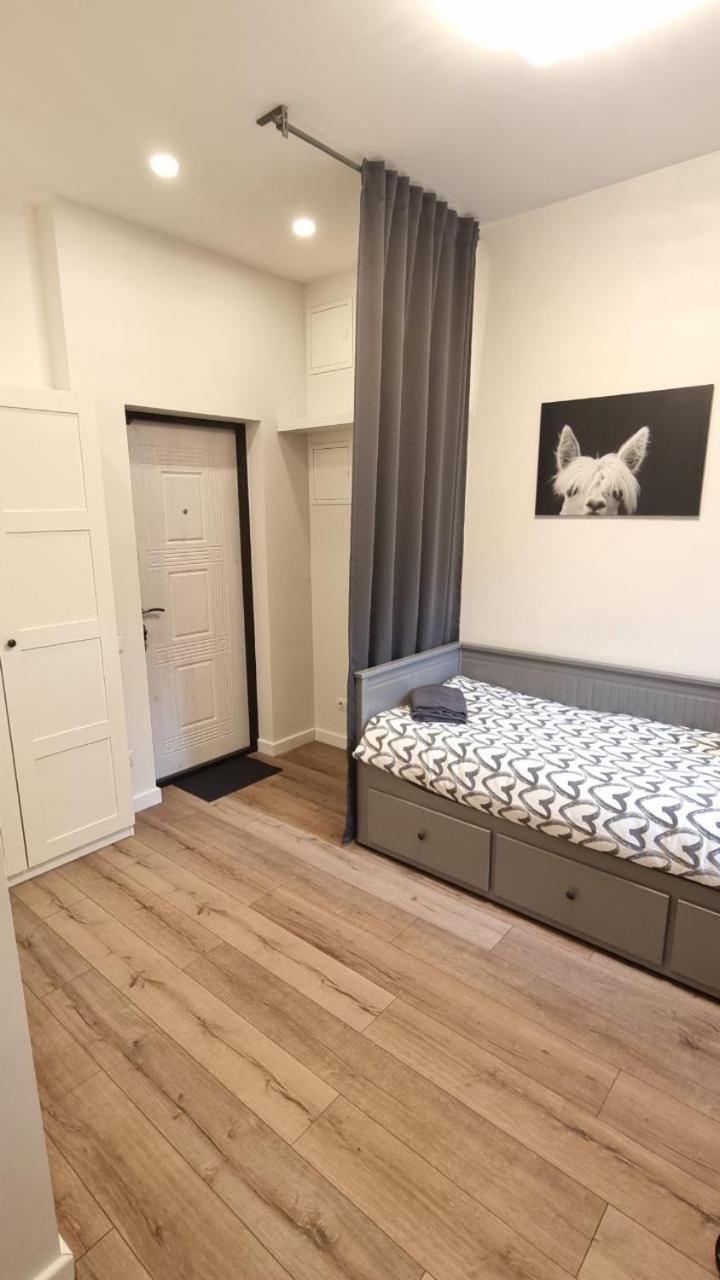 Marijas City Center Apartment リガ エクステリア 写真